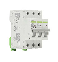 B1E Series 3-Poles and 1 Ampere (A) Rated Current Supplementary Protector