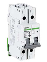 B1NQ Series 2-Poles Quick Connection, Load Side Miniature Circuit Breaker (B1NQ2B0.5T)